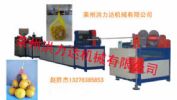 Plastic Net Extrusion Line